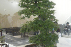 DSCF0426