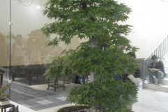 DSCF0427