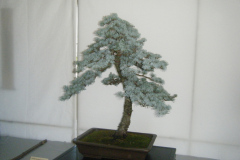 DSCF0428