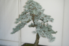 DSCF0429