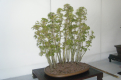 DSCF0430