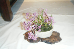 DSCF0432