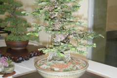 DSCF0433