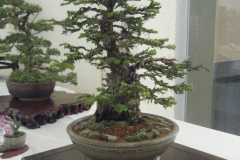 DSCF0434