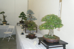 DSCF0436