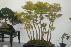 DSCF0440