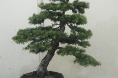 DSCF0442