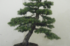 DSCF0443