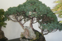 DSCF0444