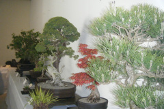 DSCF0446