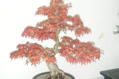 DSCF0448