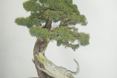 DSCF0449