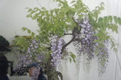 DSCF0451