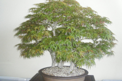 DSCF0456