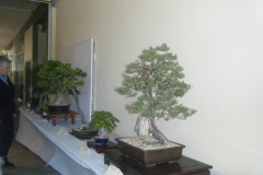 DSCF0457