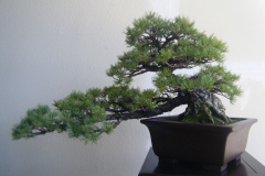 DSCF0459