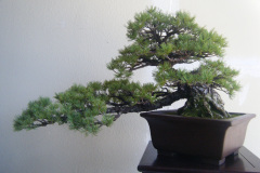 DSCF0460