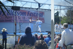 DSCF0307
