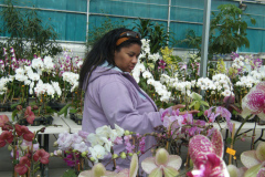 DSCF0266