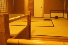 Tea Ceremony (2009)
