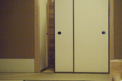 DSCF0381