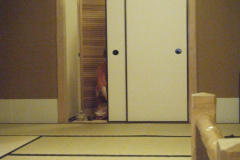 DSCF0394